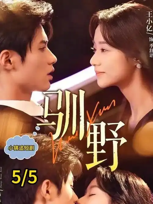 欧美高分剧集